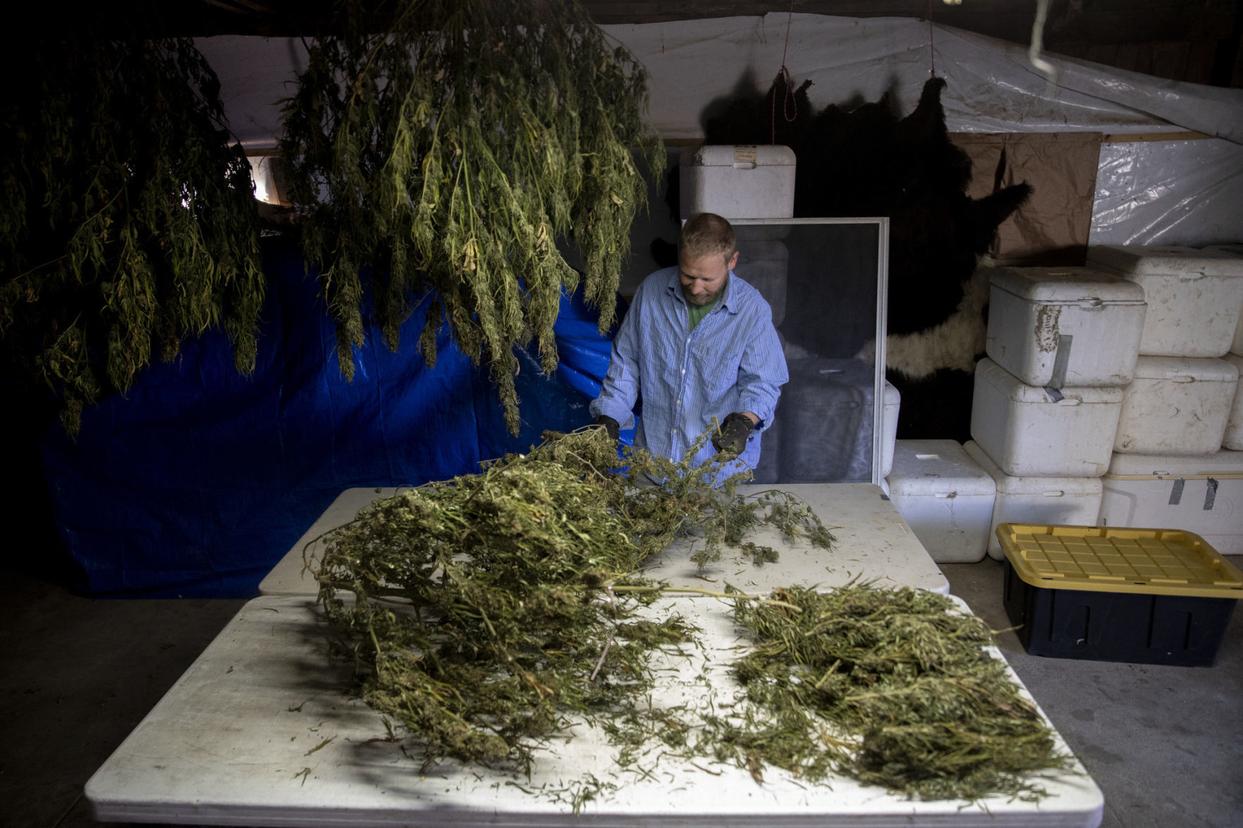 BIZ-MANY-ILLINOIS-FARMERS-BET-BIG-3-TB.jpg